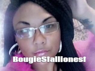 BougieStallionest