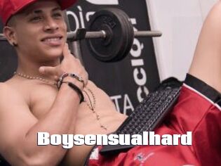 Boysensualhard