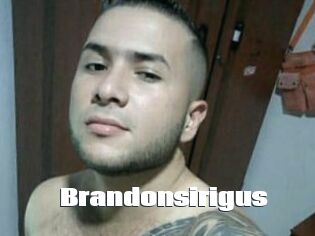 Brandonsirigus