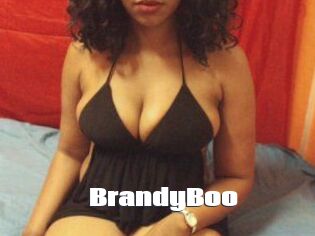 BrandyBoo
