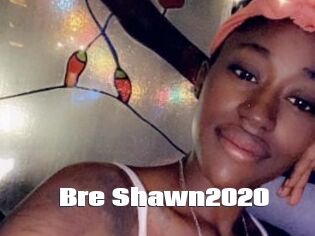 Bre_Shawn2020