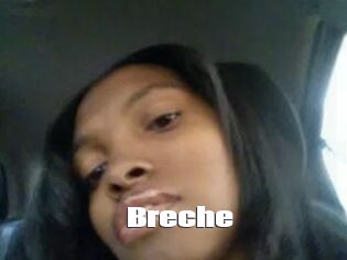 Breche