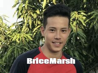 BriceMarsh