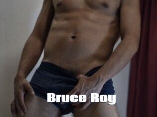 Bruce_Roy