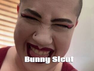 Bunny_Slcut