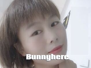 Bunnyhere