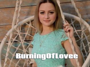 BurningOfLovee