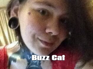 Buzz_Cat