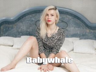 Babywhale