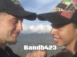 Bandb423
