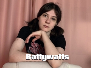 Battywatts