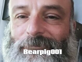 Bearpig001