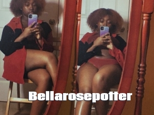 Bellarosepotter
