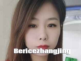 Bericezhangjing
