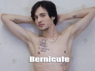 Bernicute