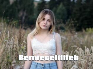 Berniecelittleb