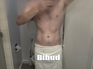 Bibud