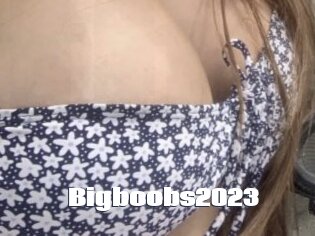 Bigboobs2023