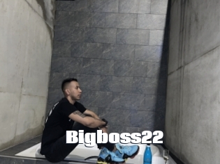 Bigboss22