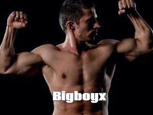 Bigboyx