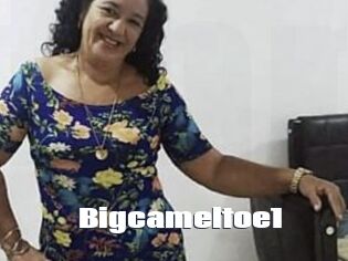 Bigcameltoe1