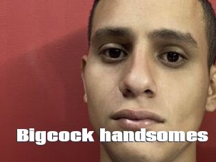 Bigcock_handsomes