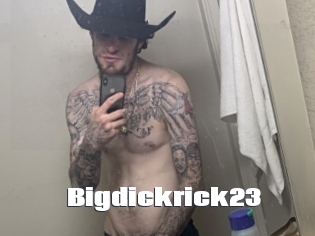 Bigdickrick23