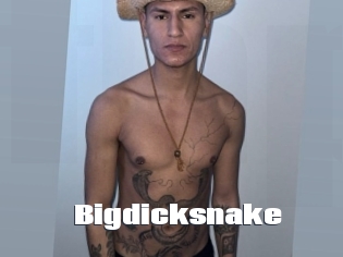 Bigdicksnake