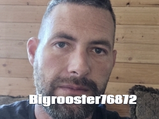 Bigrooster76872