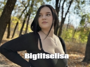 Bigtitselisa
