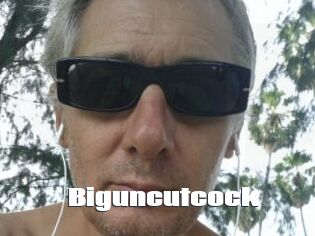 Biguncutcock