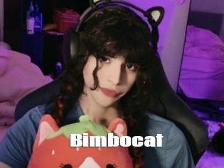 bimbocat The hot porn