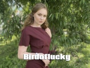 Birdoflucky