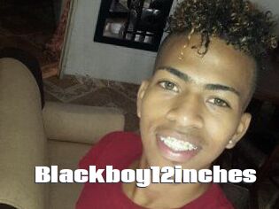 Blackboy12inches