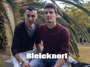 Bleicknort