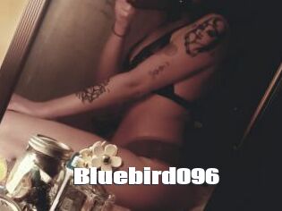 Bluebird096
