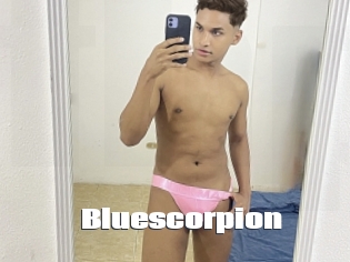 bluescorpion The hot porn