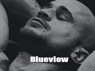 Blueview