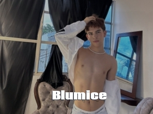 Blumice
