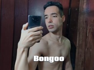Bongoo