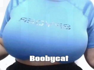 Boobycat