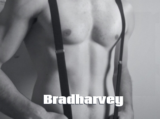 Bradharvey