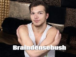 Braindensebush