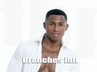 Branches_intl