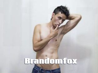 Brandomfox
