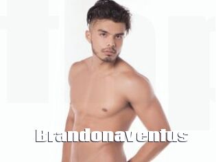 Brandonaventus