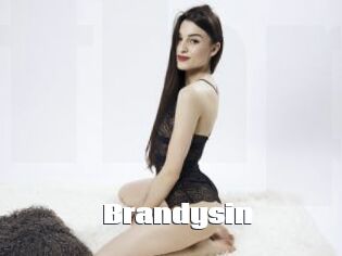 Brandysin