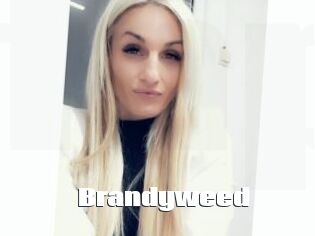 Brandyweed