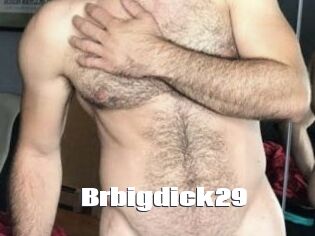 Brbigdick29