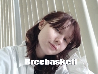 Breebaskett